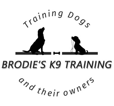Brodie's K9 Training - Training Dogs and Their Owners